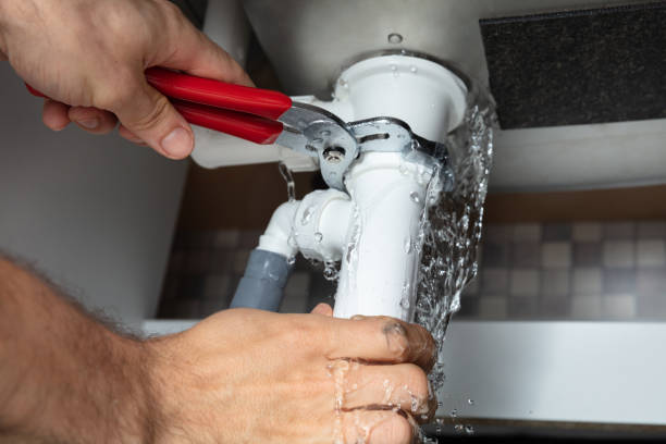 Best Professional water damage repair  in Franklin Grove, IL