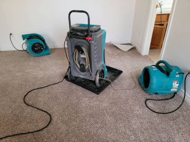 Carpet water damage restoration in Franklin Grove, IL