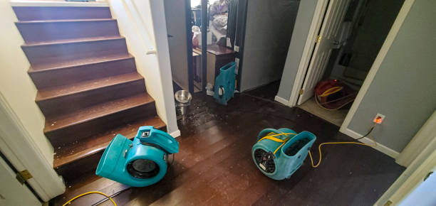 Best Water damage contractors near me  in Franklin Grove, IL