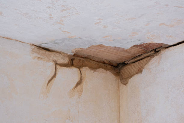 Carpet water damage restoration in Franklin Grove, IL