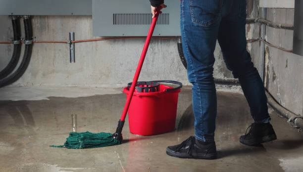Best Flooded house restoration  in Franklin Grove, IL