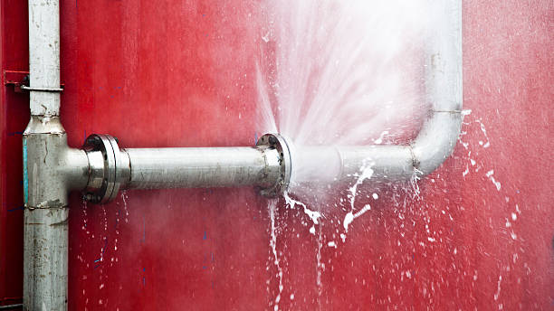 Best Fire Damage Restoration  in Franklin Grove, IL