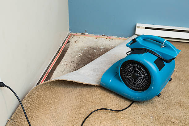 Professional Water damage restoration in Franklin Grove, IL